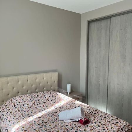 Superbe Appartement Plein Centre Millau Ngoại thất bức ảnh