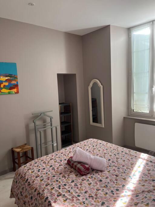 Superbe Appartement Plein Centre Millau Ngoại thất bức ảnh