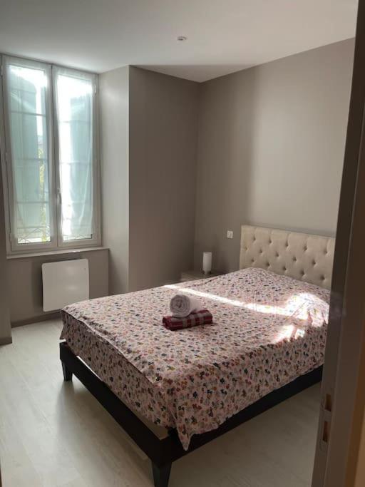 Superbe Appartement Plein Centre Millau Ngoại thất bức ảnh