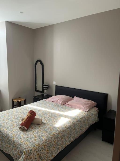 Superbe Appartement Plein Centre Millau Ngoại thất bức ảnh