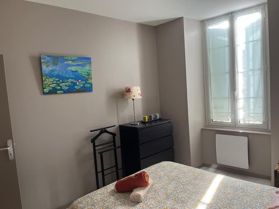 Superbe Appartement Plein Centre Millau Ngoại thất bức ảnh