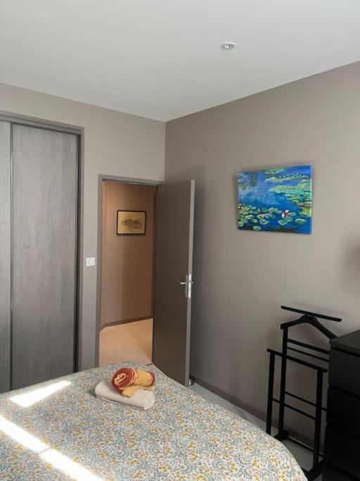 Superbe Appartement Plein Centre Millau Ngoại thất bức ảnh